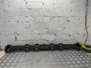 Zierleiste Renault Grand Scenic III (JZ) 300175307