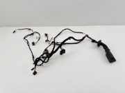 Kabel der vorderen linken Tür BMW 3 (F30, F80) 335 i xDrive 19344411