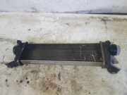 Ladeluftkühler Mercedes-Benz Vaneo (414)