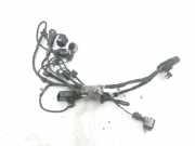 Kabelbaum Hinteren Parksensoren AUDI Q7 (4L) 3.0 TDI quattro 3C0919275P