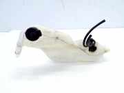 Fensterwaschtank DACIA LODGY 1.2 TCe 289106925R 289107917R