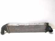 Ladeluftkühler RENAULT TRAFIC III Furgon (FG_) 1.6 dCi 120 93868350