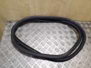 Türgummi rechts vorne VW Passat B7 (362) 3C4867911B