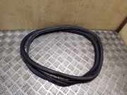 Türdichtung Audi A4 (8K, B8) 8K9833721E