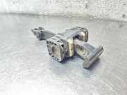 Türanschlag hinten links