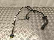 Türverkabelung hinten links RENAULT MODUS / GRAND MODUS (F/JP0_) 1.5 dCi (JP0G, JP0H) 8200219978
