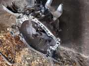 Schaltgetriebe Citroen C5 II (RC)