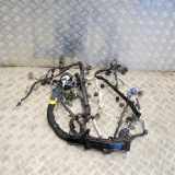 Motor Kabelbaum JAGUAR F-TYPE Coupe (X152) 3.0 GX53-12C508-BC