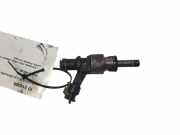 Einspritzdüse AUDI Q5 (8R) SQ5 TDI quattro 306E036P