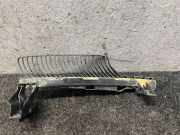 Kühlerluftumlenker VW TIGUAN (5N_) 2.0 TFSI 4motion 5NA805705