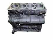 Motorblock VW PASSAT B7 ALLTRACK (365) 2.0 TDI CRL