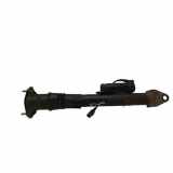 Stoßdämpfer hinten rechts MERCEDES-BENZ GL (X164) GL 500 4-matic (164.886) Z016A00 D01272