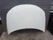 Motorhaube VW EOS (1F7, 1F8) 1.4 TSI