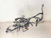 Kabelbaum OPEL INSIGNIA A (G09) 1.6 (68) 55568518