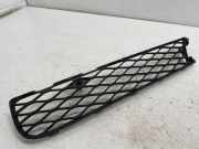 Gitter vorne unten MERCEDES-BENZ R (W251, V251) R 320 CDI 4-matic (251.022, 251.122) A2518850153