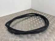 Dichtungsgummi der hinteren Tür (an der Karosserie) RENAULT KOLEOS I (HY_) 2.5 4x4 (HY0C, HY0N)