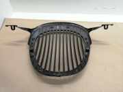 Kühlergrill oben Jaguar S-Type (X200) XR838A100AA