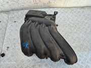 Ansaugbrücke NISSAN JUKE (F15) 1.6 1KT0A