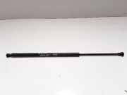 Gasfeder für Motorhaube Peugeot 607 ()