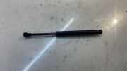 Gasfeder für Motorhaube BMW X5 (E70) 6980060