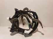 Kabel Tür Renault Koleos II (HC) 241266150R