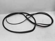 Vordere linke Türdichtungsgummi FIAT DUCATO Furgon (244_) 2.0 JTD