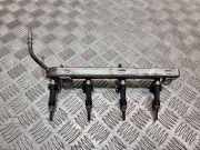 Einspritzventil Set TOYOTA YARIS (_P9_) 1.33 VVT-i (NSP90_) 0280158213