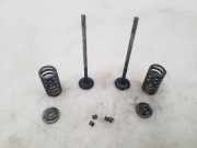 Auslassventil Opel Insignia A (G09)