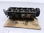 Motorkopf VW CADDY III Furgon (2KA, 2KH, 2CA, 2CH) 1.6 TDI 260210