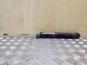 Stoßdämpfer rechts hinten Audi A3 Cabriolet (8P) 1K0513029FR