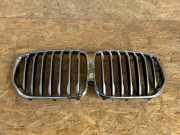 Vorderer oberer Gitter BMW X5 (G05) xDrive 30 d Mild-Hybrid 7454889