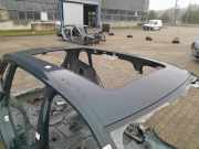 Dach mit Sonnendachausschnitt VW Tiguan II (AD)