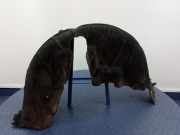 Radhaus links hinten Skoda Kodiaq I (NS6, NS7, NV7) 565810969A