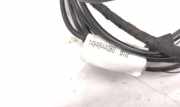 Antenne Dach Fiat Ulysse (179) 1494844080