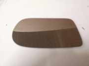 Türspiegelglas vorne links