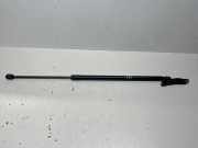 Heckklappe Gasdruckfeder links BMW X3 (F25) xDrive 28 i 7211289