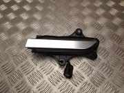 Türgriff links vorne Tesla Model X (5YJX) 103541800E