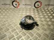 Nebelscheinwerfer vorne rechts MERCEDES-BENZ C (W205) C 220 BlueTEC / d (205.004) P142029