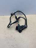 Kabel Tür Audi A4 Avant (8E, B7) 8E0971687L