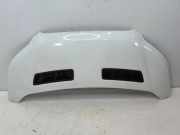 Motorhaube FORD TRANSIT 2.0 TDCi TKK31-A16612-AA