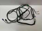 Kabelbaum VW EOS (1F7, 1F8) 2.0 TDI 16V 1K0971446B 1Q0971650AM