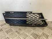 Kühlergrill rechts BMW 3er (E90) 7134082