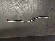 Ölmessstab Porsche Cayenne 2 (92A) 03H115629F