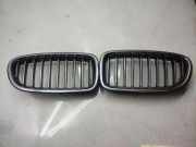 Vorderer oberer Gitter BMW 5 (F10) 530 d xDrive 7340320 7336477