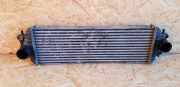 Ladeluftkühler NISSAN PRIMASTAR Furgon (X83) 1.9 dCi 100 7700312903