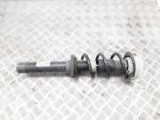 Stoßdämpfer vorne rechts AUDI A4 Allroad (8WH, B9) 2.0 TFSI quattro 8W0413333 8W0031