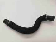 Kühlerschlauch Nissan Qashqai II (J11)