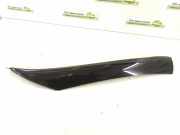 Dachleiste links MERCEDES-BENZ SLK (R171) 350 (171.456) 1716900139