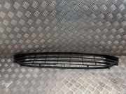 Gitter vorne unten FORD FIESTA VII 1.5 TDCi H1BB17K945