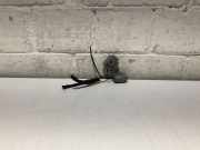 Glühlampe Xenon BMW 5er (E60) Z849996